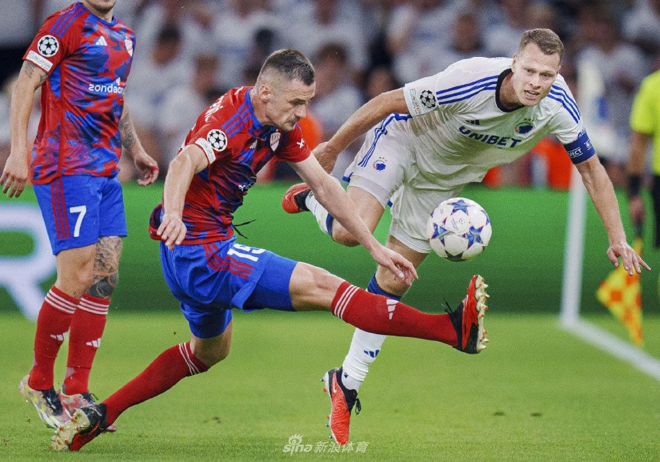 场组织中的 场组织中的