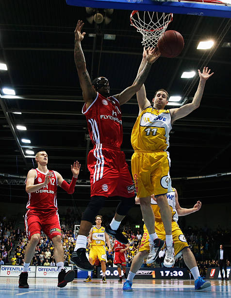 迷和搜索引 迷和搜索引